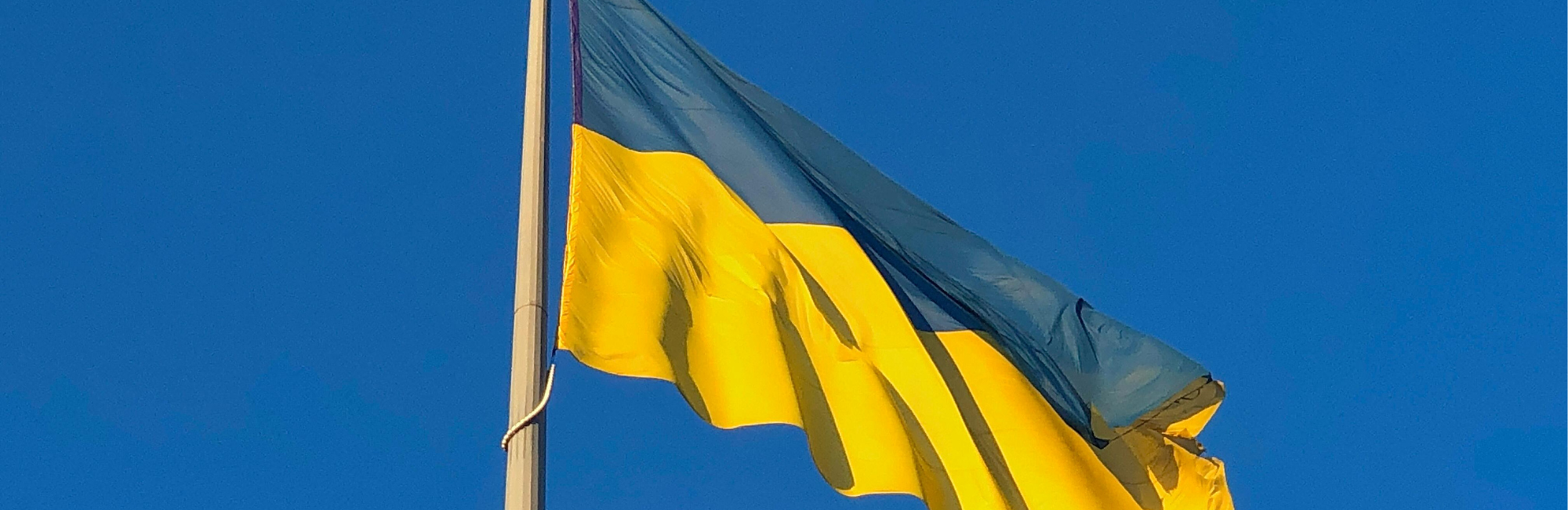 Is Ukraine Eligible for the E-2 Visa? Why More Ukrainians with TPS Are Exploring This Option